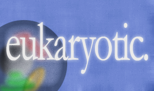 Screenshot 1 of eukaryotic.