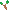 Screenshot 1 of Plant or Die