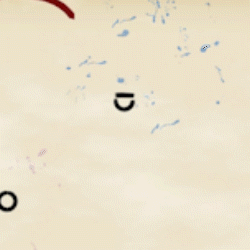 gif3.gif