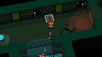 kiwi-shot2.gif